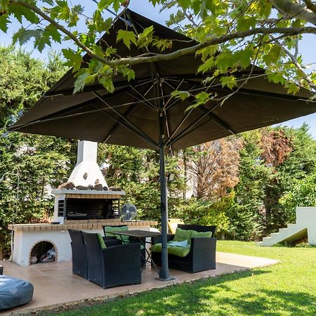 Beautiful Summer Villa In Chalkoutsi Khalkoutsion Ngoại thất bức ảnh