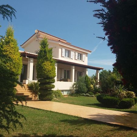 Beautiful Summer Villa In Chalkoutsi Khalkoutsion Ngoại thất bức ảnh
