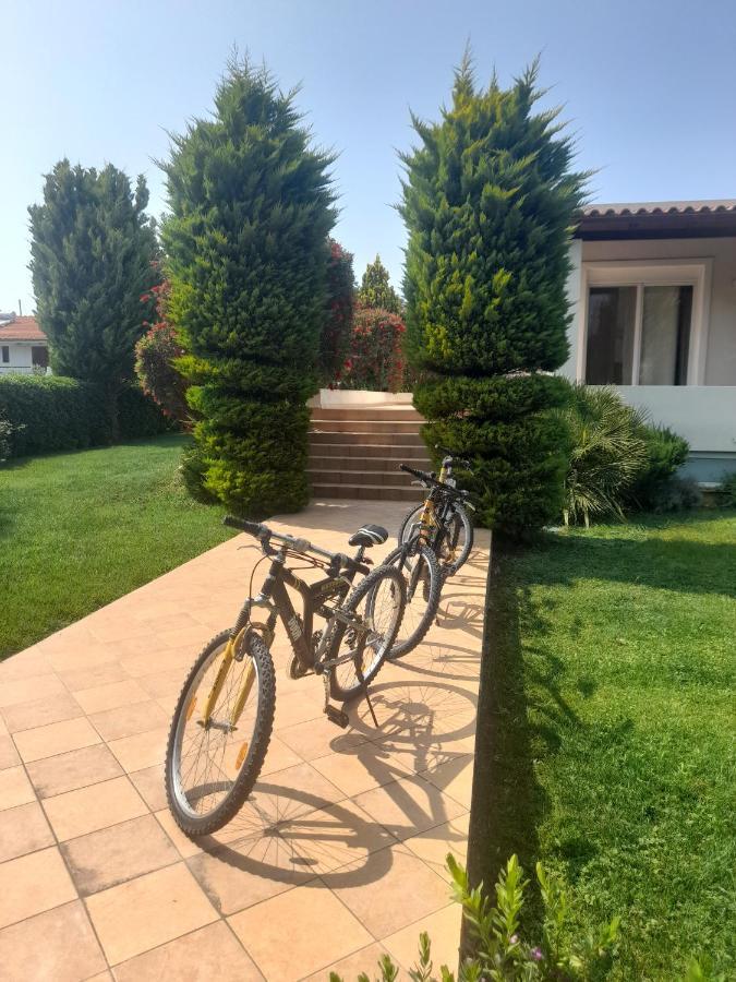 Beautiful Summer Villa In Chalkoutsi Khalkoutsion Ngoại thất bức ảnh