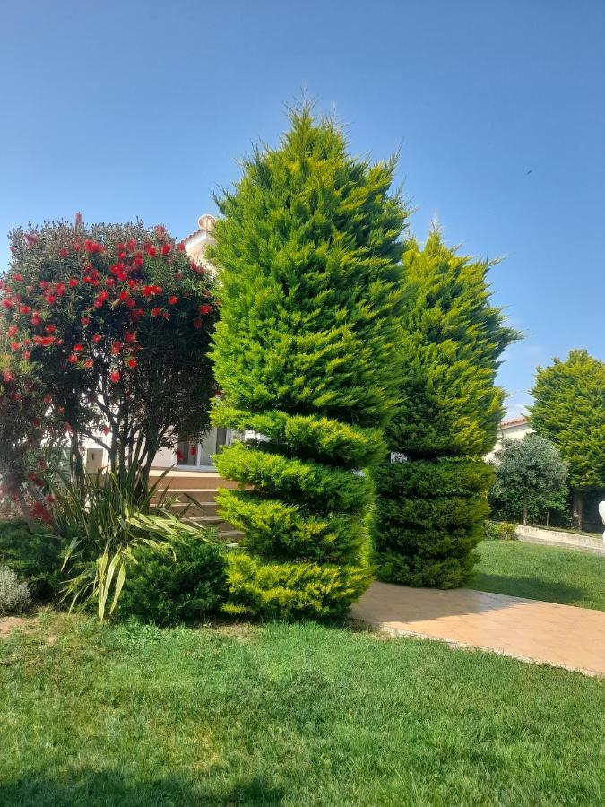 Beautiful Summer Villa In Chalkoutsi Khalkoutsion Ngoại thất bức ảnh