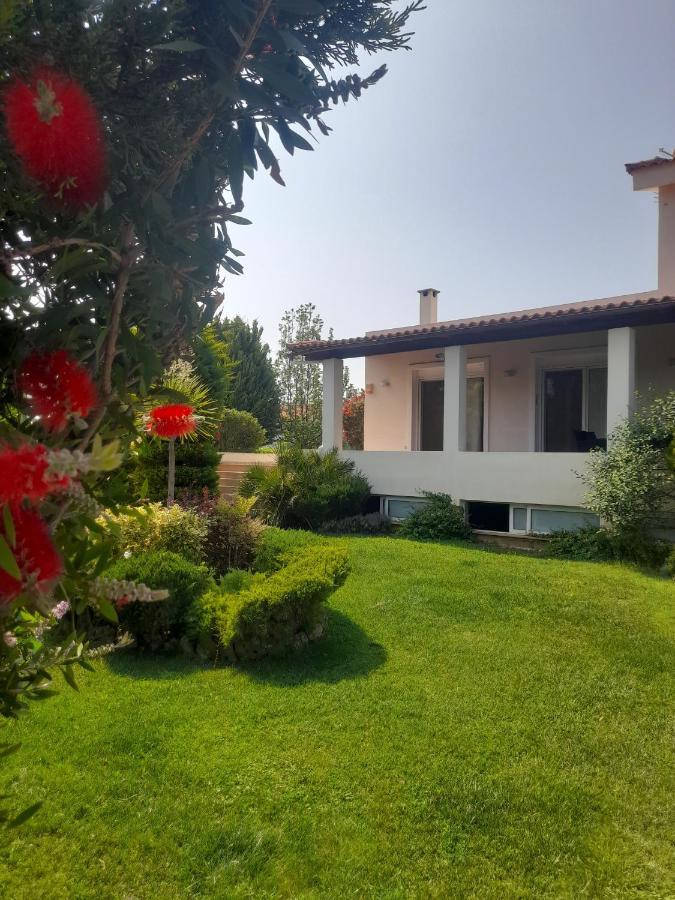 Beautiful Summer Villa In Chalkoutsi Khalkoutsion Ngoại thất bức ảnh