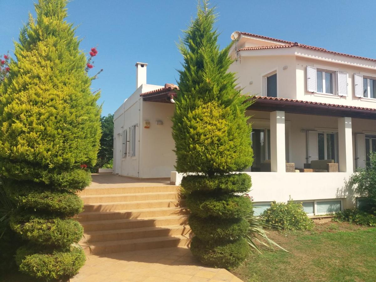 Beautiful Summer Villa In Chalkoutsi Khalkoutsion Ngoại thất bức ảnh