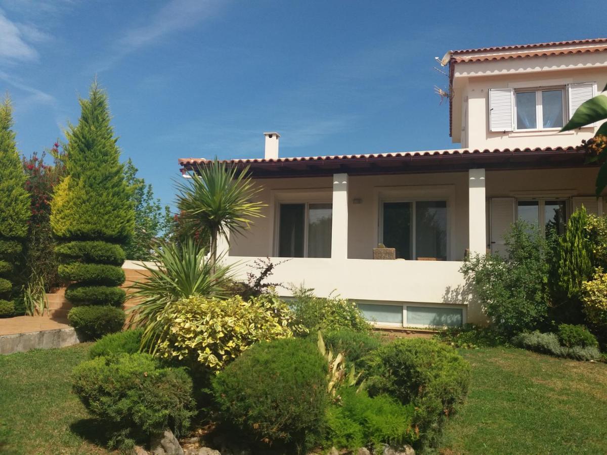 Beautiful Summer Villa In Chalkoutsi Khalkoutsion Ngoại thất bức ảnh